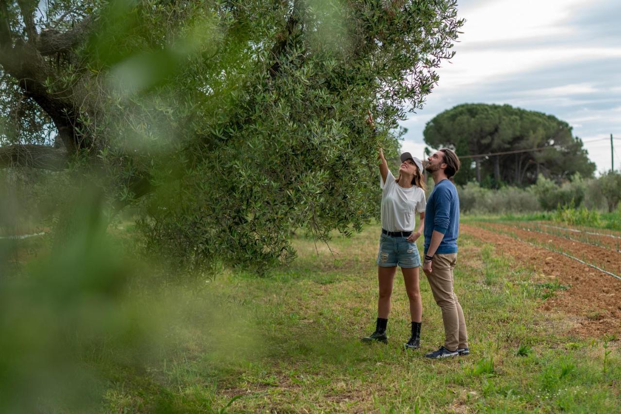 Agriturismo La Banchella สการ์ลีโน ภายนอก รูปภาพ