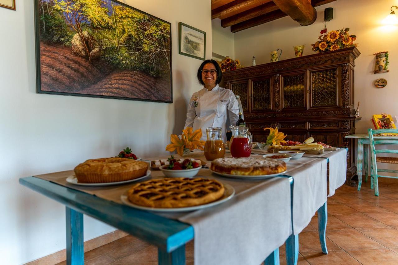 Agriturismo La Banchella สการ์ลีโน ภายนอก รูปภาพ