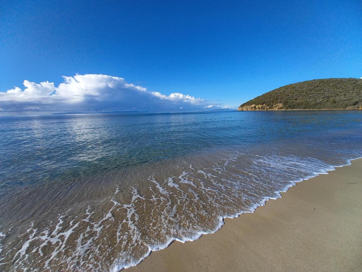 Agriturismo La Banchella สการ์ลีโน ภายนอก รูปภาพ