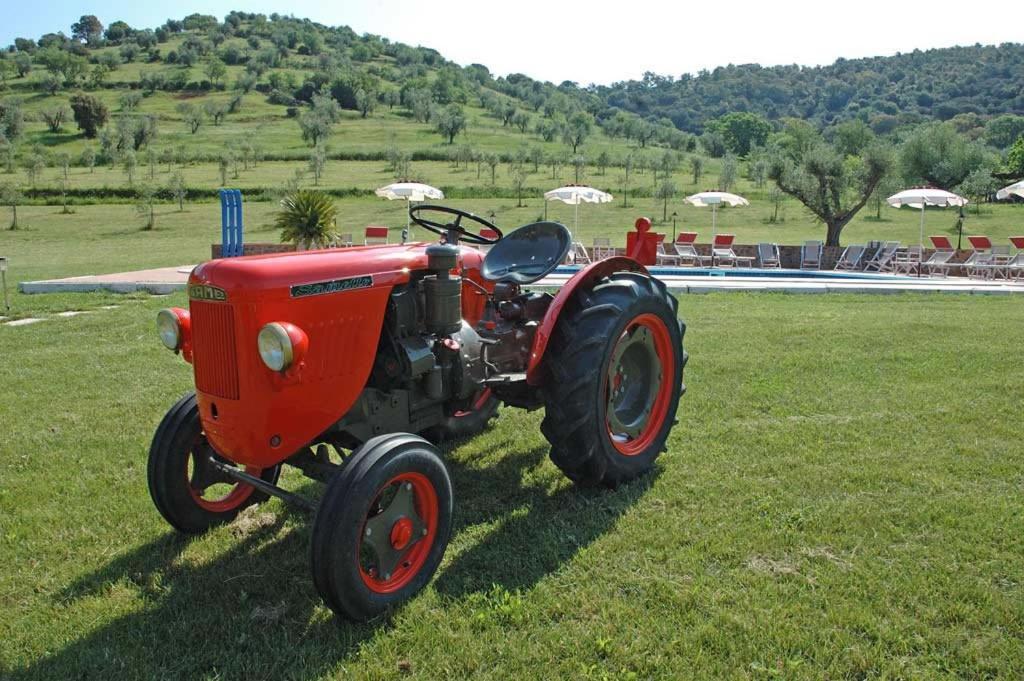 Agriturismo La Banchella สการ์ลีโน ภายนอก รูปภาพ